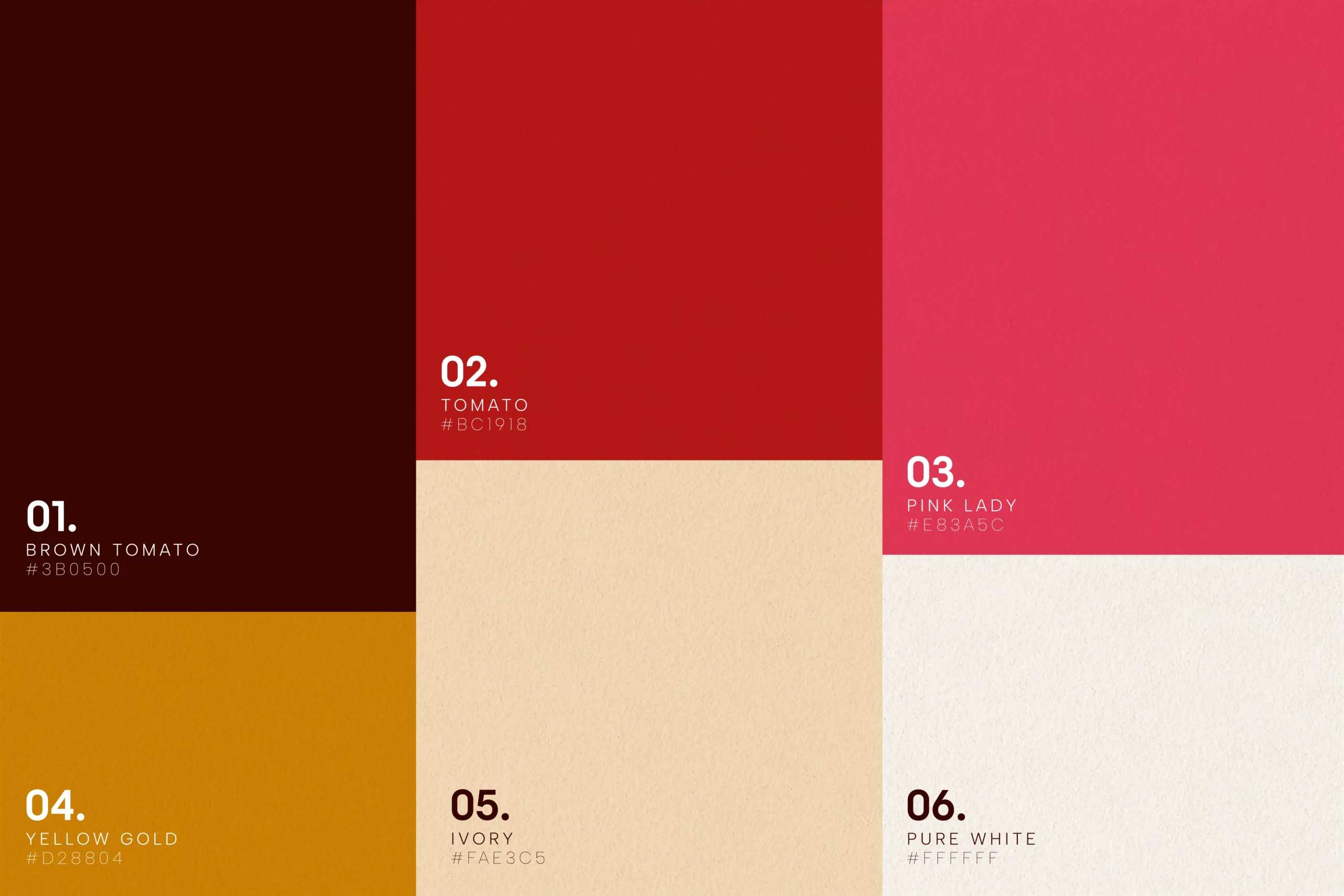 Présentation de l’identité visuelle CRUST